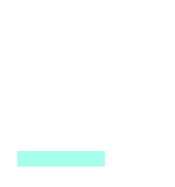 Layer
